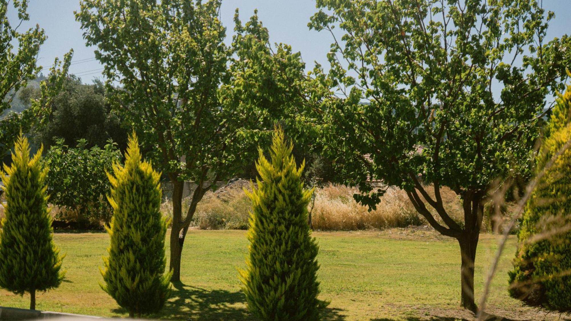 Vela Garden Resort Alacati Exterior foto
